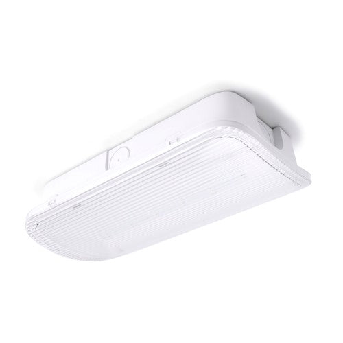 Integral LED Emergency Compact Bulkhead Ip65 1W 150Lm 3Hr Maintained Or Non-Maintained 6000K Including Up Down Left Right Legends Dali Integral Led - ILEMBH037