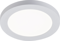 230V 12W CCT Adj Circular LED Panel- 165mm