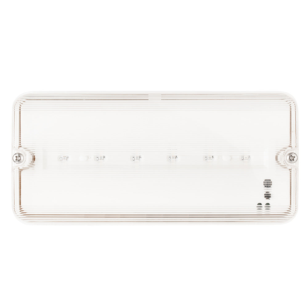 Mini IP65 LED Bulkhead