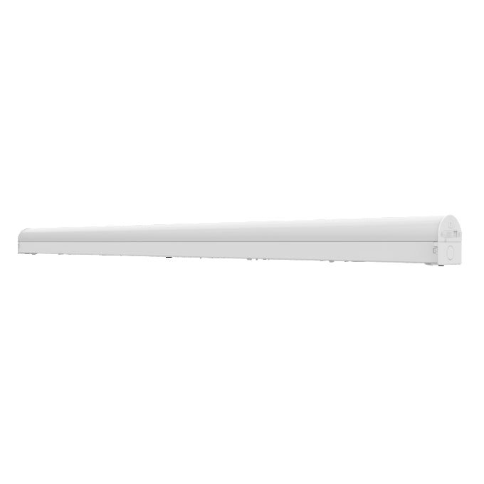 BAT CBO 1200 V 36W ML 84065 WT