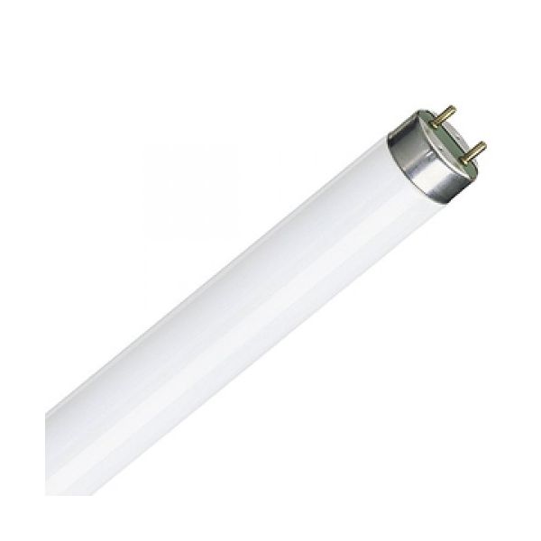 58W T8 Triphosphor Tube - 4000K, 1500mm Box Quantity (25s)