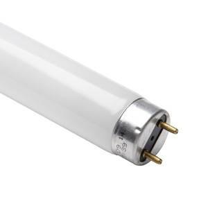 T8 10W Flykiller Tube - 345mm Blacklight/Flykiller Casell - Casell Lighting
