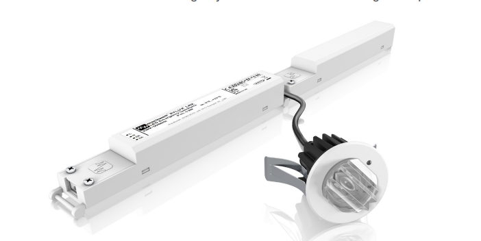 XYLUX LRX IP30 with LiFePO4 in White 9006283 ( replaces the  9001581 )Dali 2