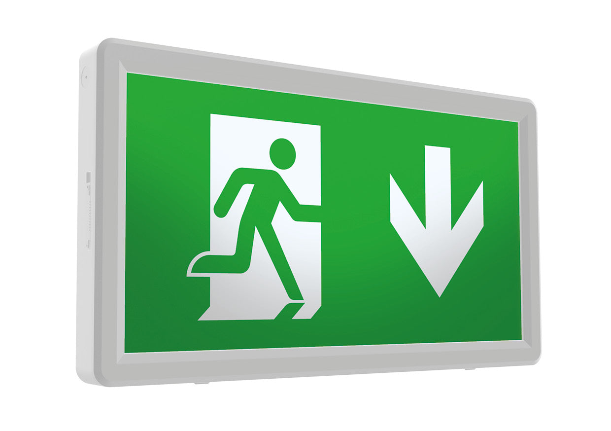 BrightGuard PC 4W Polycarbonate Exit Box