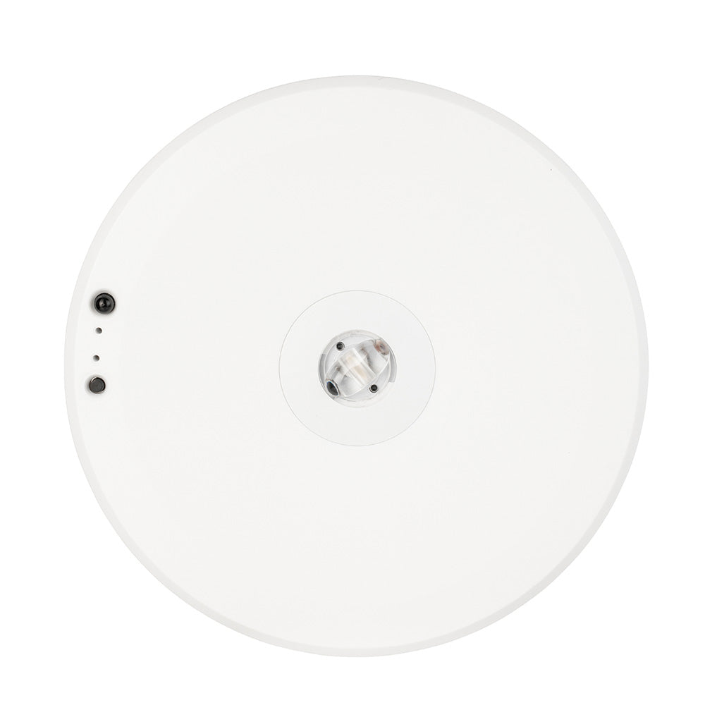 Surface Downlight