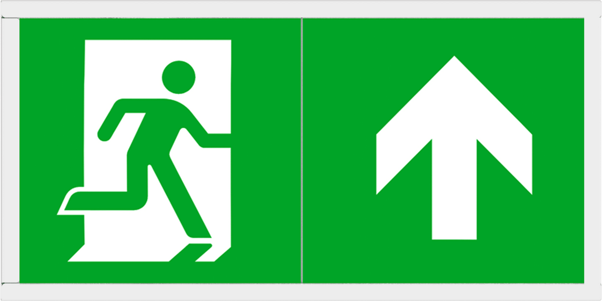 Belum Standard/Self-test LED exit sign box