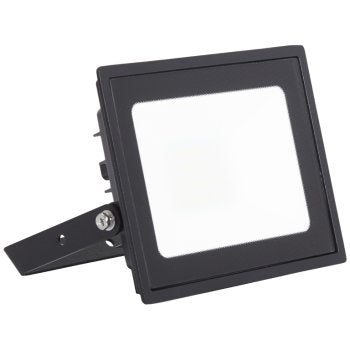 Ansell Lighting AEDELED20/WW  Eden 20W 3000K Black LED Floodlight
