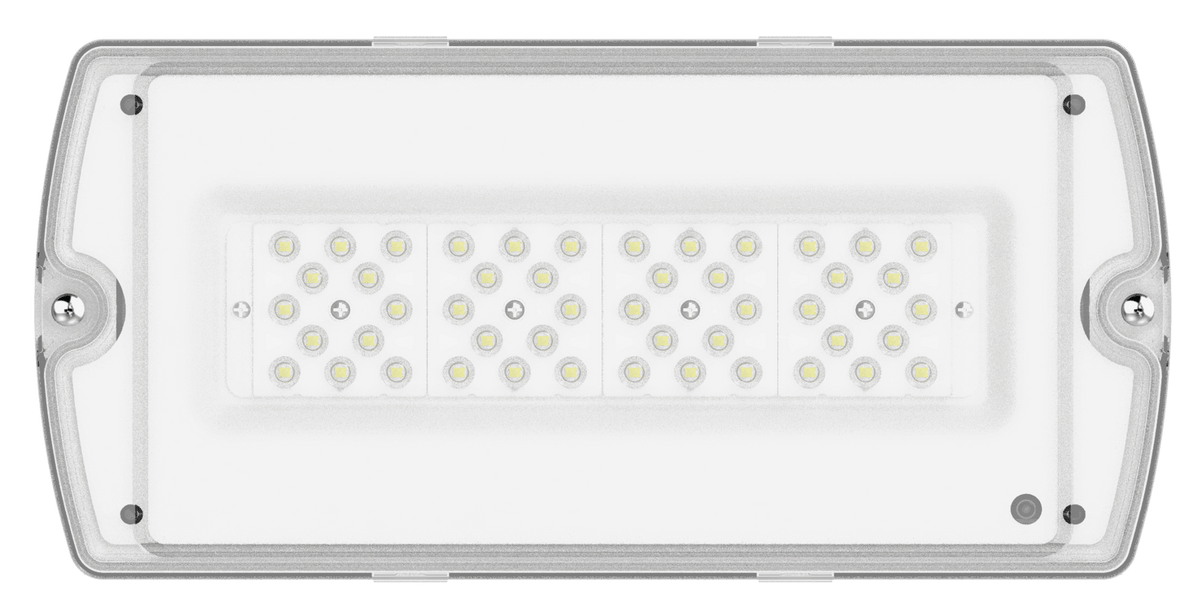 Manot Hilux Standard/Self-test IP65 high output emergency bulkhead