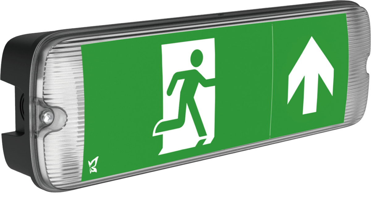 Mulu Standard/Self-test IP65 LED emergency exit sign bulkhead