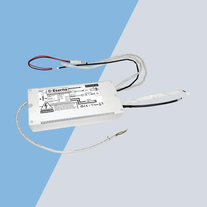 SEEBPM3 10-60V 100W Maximum Load Self-Test emergency battery pack